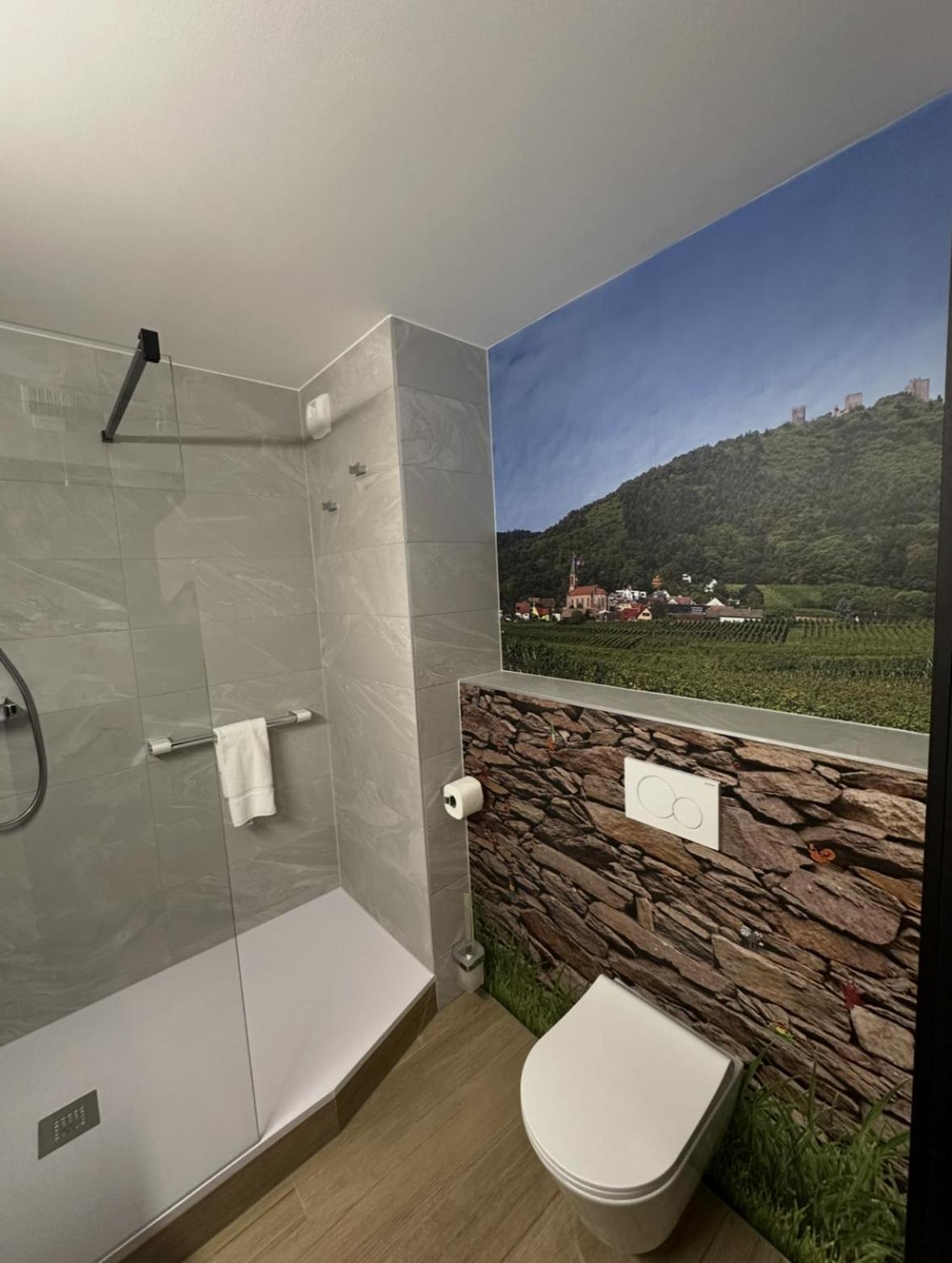 Hotel Colmar Vignes Eguisheim Ngoại thất bức ảnh